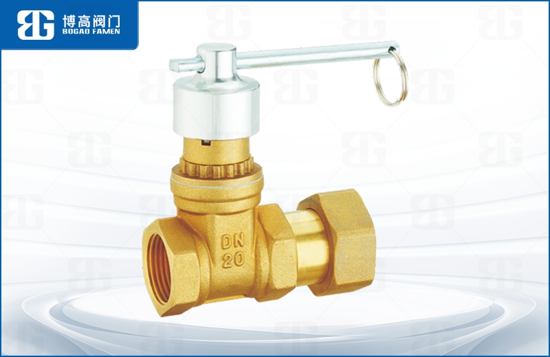磁(ci)性鎖閉活接(jie)止回閘閥