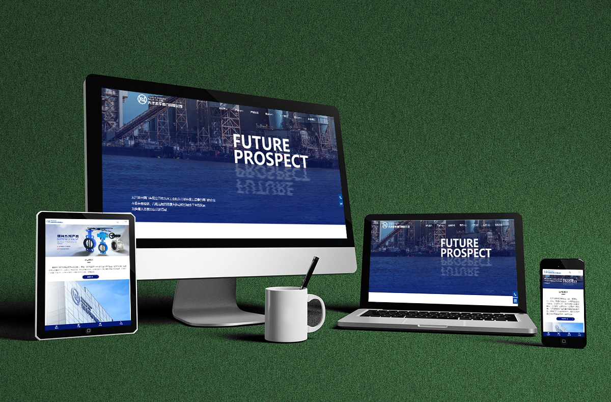 熱烈慶賀(he)南京博高閥門(men)有限公司網站(zhan)正式開通